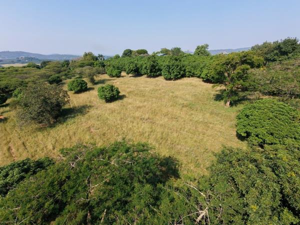 2.6 ha Land