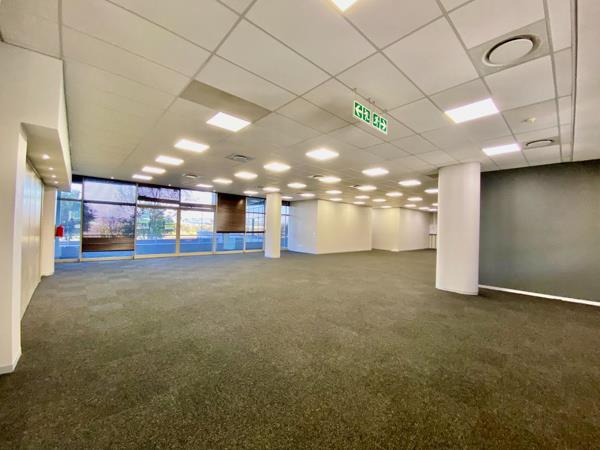 224 m² Office Space