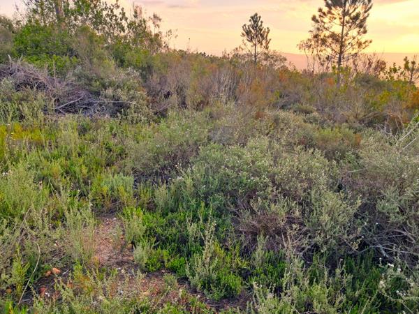 1.4 ha Land