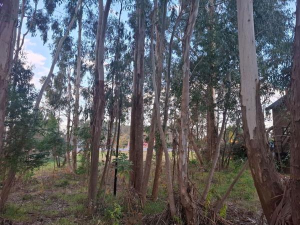 700 m² Land