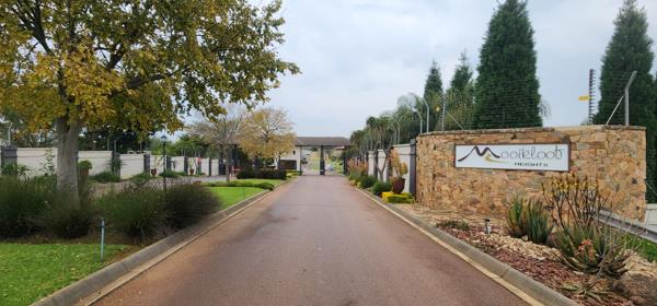 8 645 m² Land