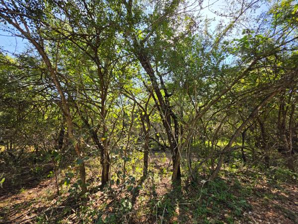 2 050 m² Land