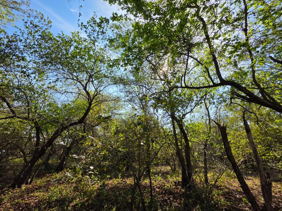 2 050 m² Land