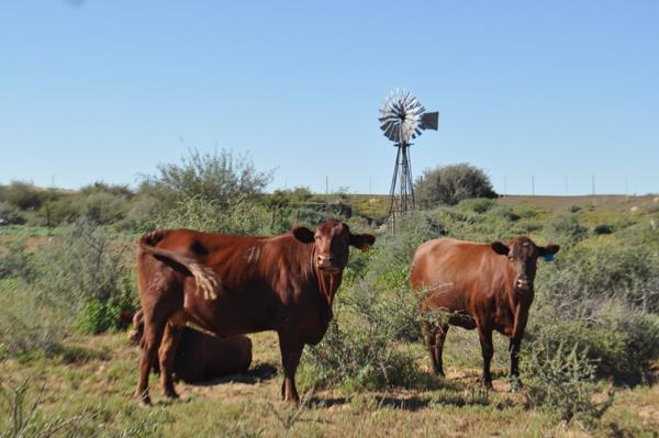 12 340 ha Farm
