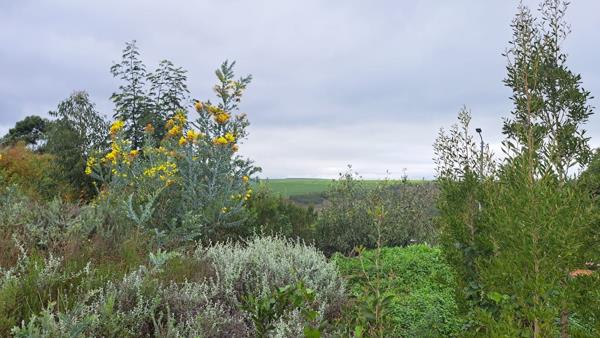 1 215 m² Land