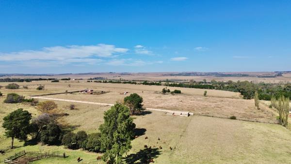 40 ha Farm