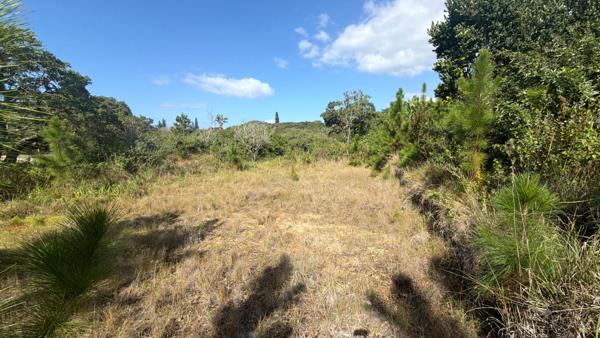 7 415 m² Land