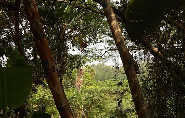 1 681 m² Land