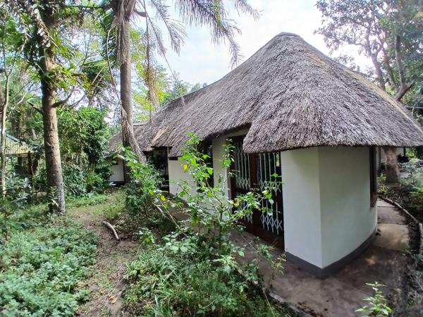 1 Bedroom House