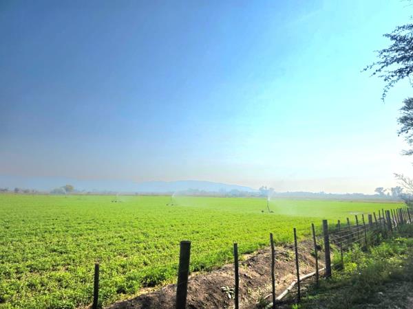 28 ha Farm