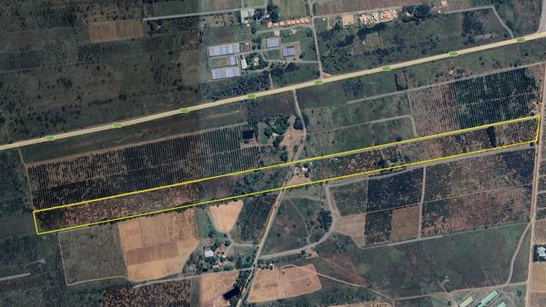 19 ha Farm