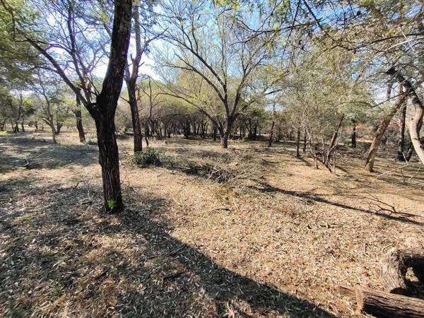 382 m² Land