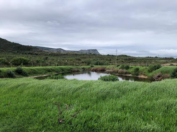 6 ha Farm