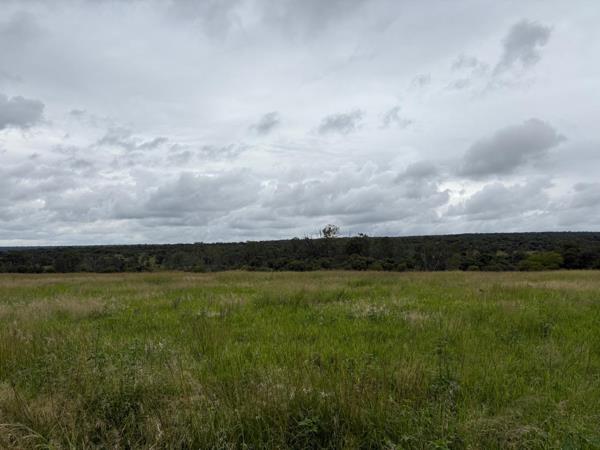 446 ha Farm