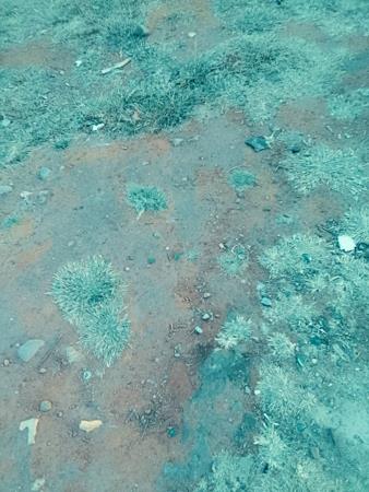 204 m² Land