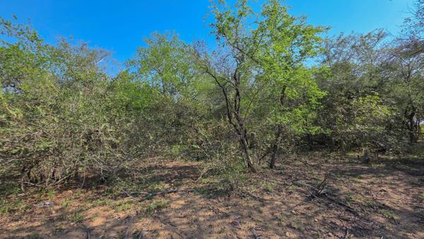 2 077 m² Land