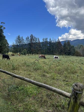 16.6 ha Farm