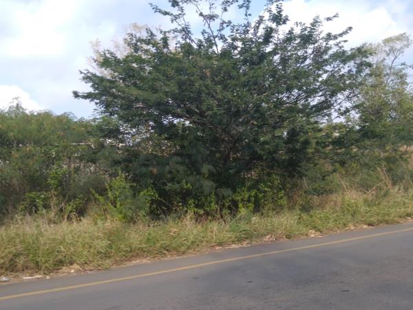 1 093 m² Land