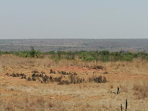 21.5 ha Commercial Farm