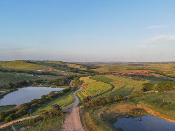 2.6 ha Farm