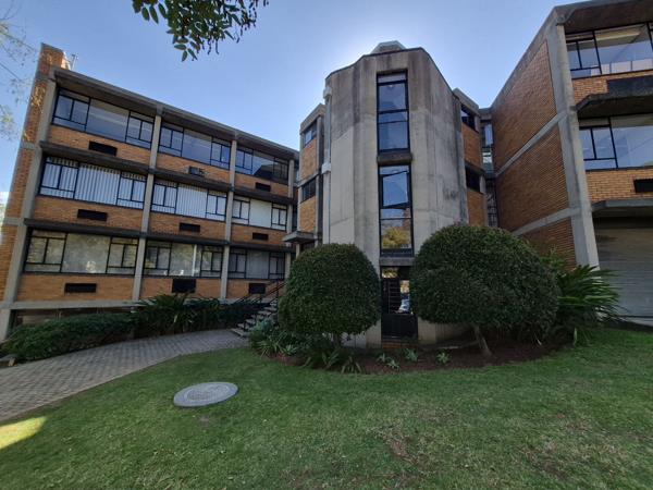 32 m² Commercial space