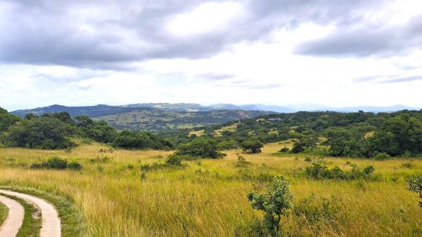 15 ha Land