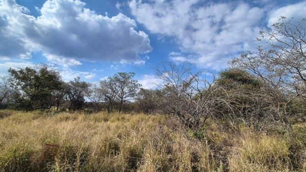 1 004 m² Land
