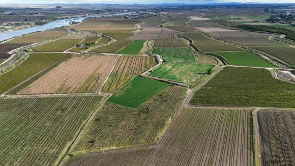 44.3 ha Farm