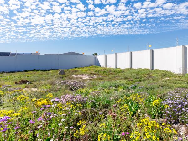 445 m² Land