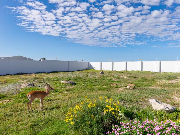 445 m² Land