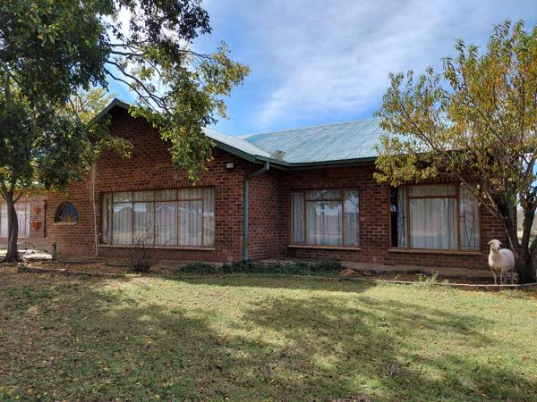 21.5 ha Smallholding