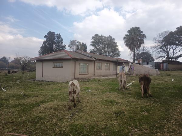 1.6 ha Farm with House