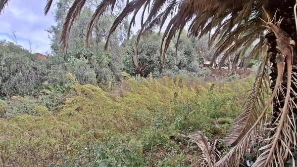 921 m² Land