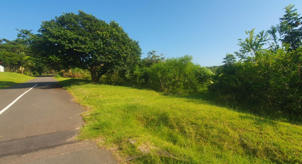 3.6 ha Land