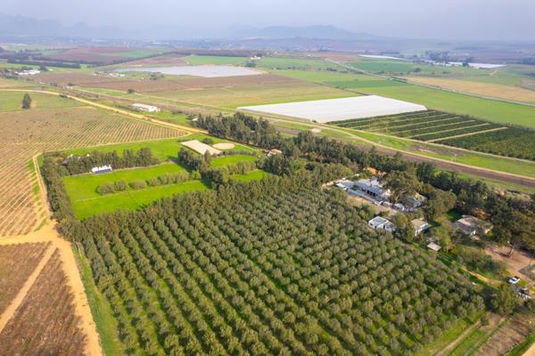 3.9 ha Smallholding