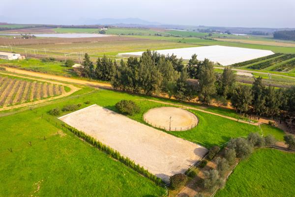 3.9 ha Smallholding