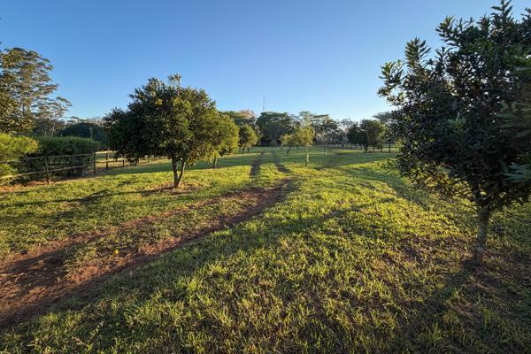 1 310 m² Land