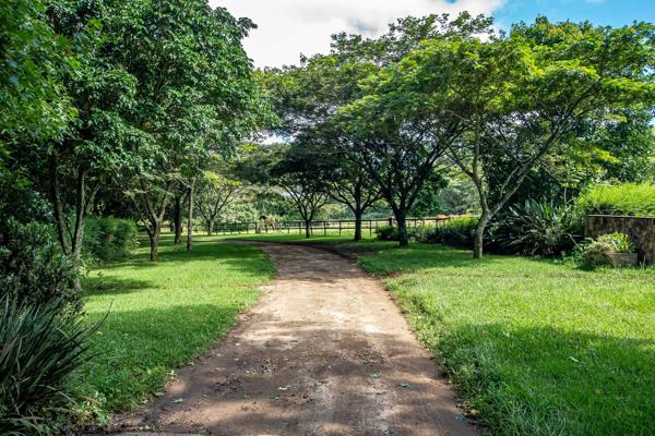 1 153 m² Land
