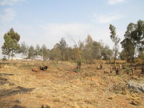 1 978 m² Land