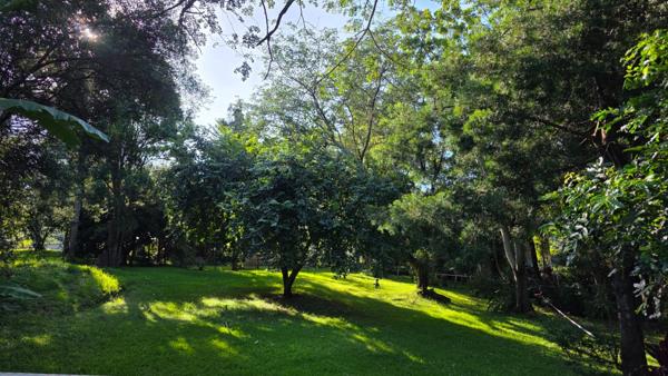 716 m² Land