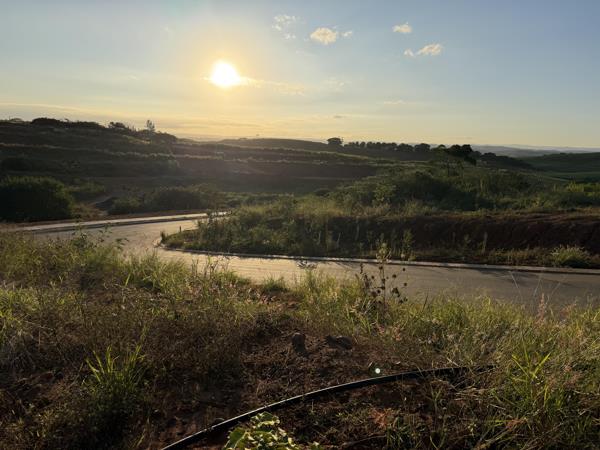846 m² Land