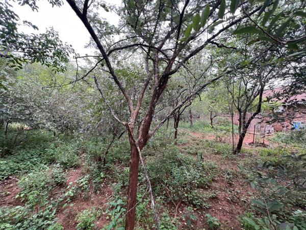 2 000 m² Land