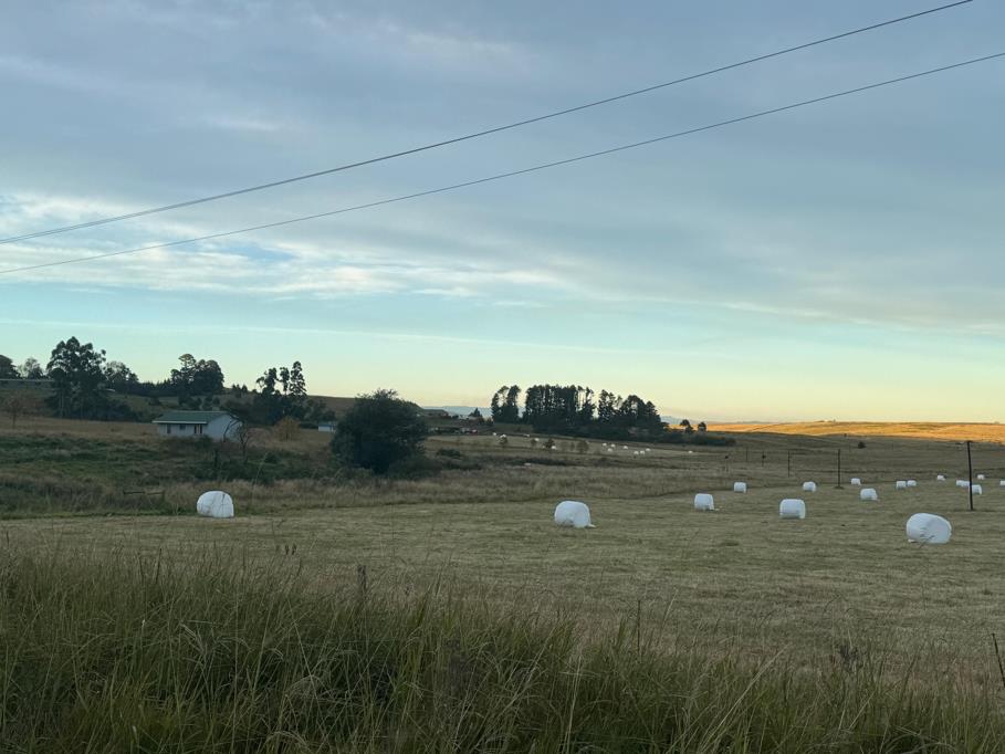 200 ha Farm