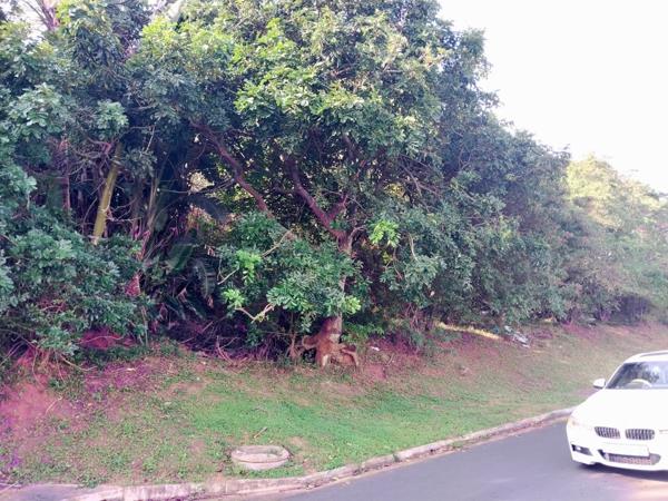 1 458 m² Land