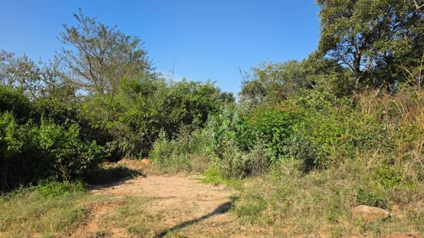 817 m² Land
