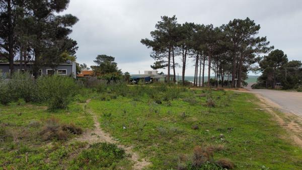 595 m² Land