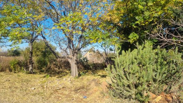 1 000 m² Land