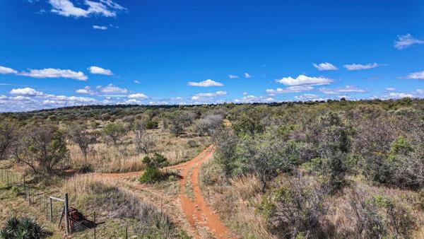 60 ha Commercial Farm