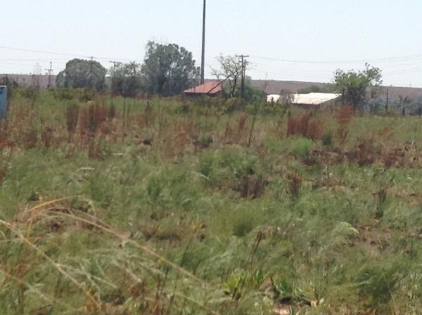 1.5 ha Land