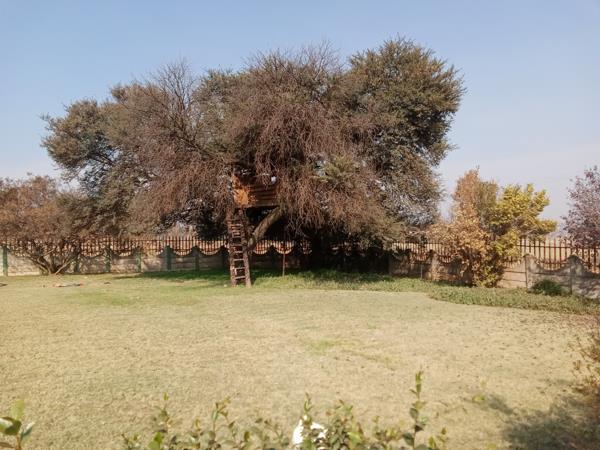 2.3 ha Smallholding